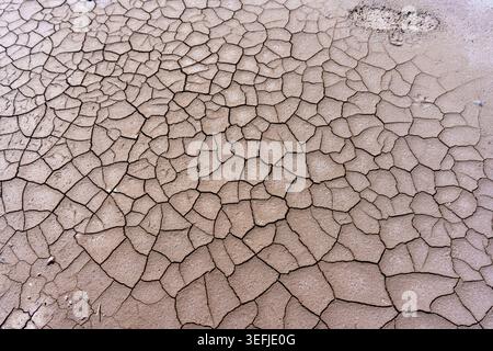 Fondo secco e fessurato caratterizzato da una struttura di terra arroccata e un'unica impronta, che simboleggia la siccità, i cambiamenti climatici e le sfide ambientali Foto Stock