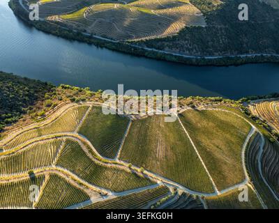 Vista aerea del fiume Douro delimitato da vigneti geometrici e colline terrazzate nella valle del Douro in Portogallo. Foto Stock