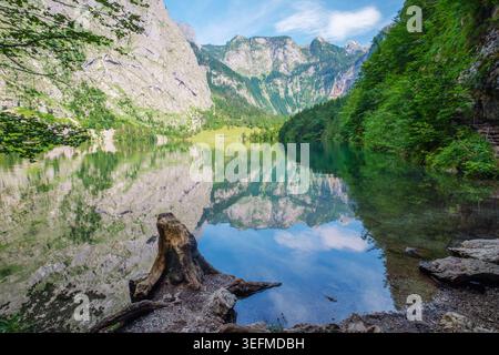 Lago montano Obersee Alpi Baviera Germania con riflessi di scogliere, foreste e cielo sull'acqua ferma, oltre a un ceppo di alberi e una riva rocciosa del lago Foto Stock