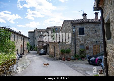 Volpaia, Italia - 16 settembre 24: Tranquilla via del paese in pietra con auto parcheggiate e cani sotto un cielo luminoso al Castello di Volpaia, Volpaia, Toscana, Italia. Foto Stock