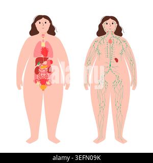 Organi e sistema linfatico, illustrazione. Foto Stock