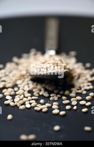 Split Urad dal in Spoon, Macro cibo Angled Top View su sfondi scuri defocati con illuminazione spettacolare Foto Stock