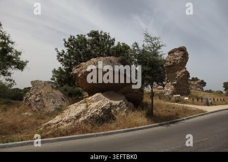 Ashkelon, parte rotonda di una torre del XII secolo e le mura in rovina costruite dai musulmani, in seguito restaurate dalle Crociate nel 1153 dopo aver conquistato la città. Foto Stock