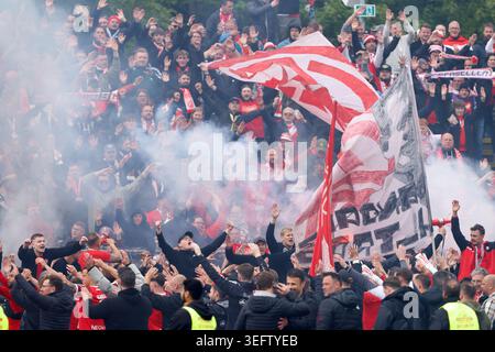 Ulm, Germania. 16 maggio 2026. Calcio, uomini: Terza divisione, SSV Ulm 1846 - Rot-Weiss Essen, giorno 38, Donaustadion. I fan di Rot-Weiss Essen celebrano la vittoria. NOTA IMPORTANTE: In conformità con le normative della DFL German Football League e della DFB German Football Association, è vietato utilizzare o far utilizzare fotografie scattate nello stadio e/o della partita sotto forma di immagini sequenziali e/o serie di foto video. Crediti: Lucca Fundel/dpa/Alamy Live News Foto Stock