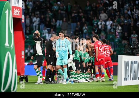 Lisbona, Portogallo. 16 maggio 2026. Partita di calcio portoghese tra Sporting CP e Gil Vicente all'Estadio Jose Alvalade. Crediti: Ricardo Rocha / Alamy Live News Foto Stock