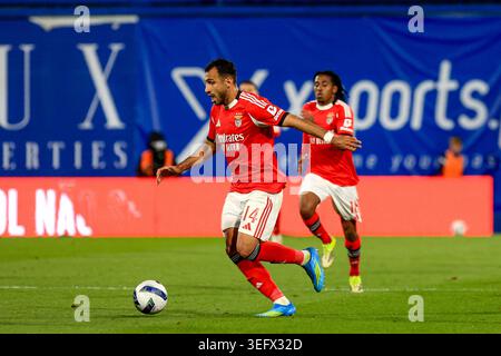 Lisbona, Portogallo. 16 maggio 2026. Estadio Antonio Coimbra da Mota Vangelis Pavlidis della SL Benfica durante la partita di Primeira Liga tra GD Estoril Praia e SL Benfica all'Estadio Antonio Coimbra da Mota il 16 maggio 2026 a Estoril, Portogallo. Liga Portugal Betclic - GD Estoril Praia vs SL Benfica (Valter Gouveia/SPP) credito: SPP Sport Press Photo. /Alamy Live News Foto Stock