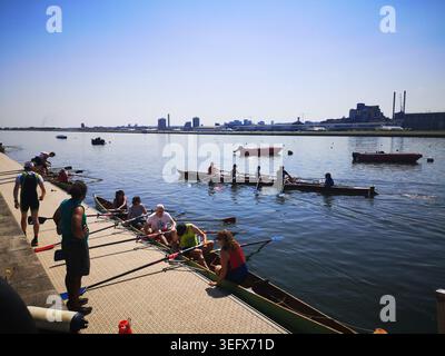 Scena del canottaggio, Royal albert Dock, Londra Foto Stock