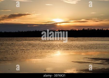 Un vivace tramonto dorato illumina un campo aperto vicino a Singing Sands sulla Penisola di Bruce, gettando lunghe ombre su un terreno strutturato. Foto Stock