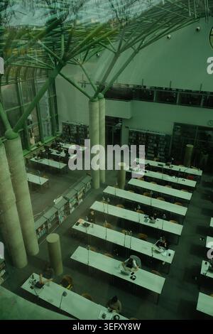 Moderna biblioteca interna con luce naturale Foto Stock