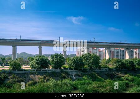 Treno ad alta velocità su una ferrovia sopraelevata che attraversa le zone umide di Jinjiang, Fujian - infrastruttura moderna sul paesaggio tradizionale del villaggio Foto Stock