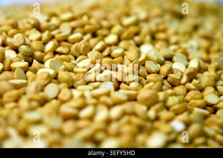 Split Chana dal texture con sfondi sfocati Macro Lentil Food Photography Foto Stock