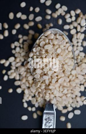 Split Urad dal in Spoon, Macro cibo Angled Top View su sfondi scuri defocati con illuminazione spettacolare Foto Stock