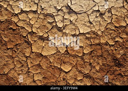 Vista completa della struttura della terra asciutta e incrinata causata da condizioni di siccità estreme Foto Stock