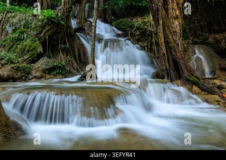 Una vista verticale di una cascata tropicale a più livelli con acqua fluente su rocce calcaree mossi in un lussureggiante e tranquillo habitat forestale. Foto Stock