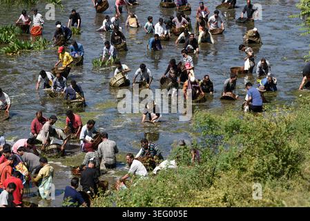 Kashmir, India. 17 maggio 2026. 17 maggio 2026, Anantnag, Jammu e Kashmir, India: Le persone si riuniscono presso le storiche sorgenti di Panzath per partecipare al tradizionale Festival del pesce, un evento della comunità secolare caratterizzato dalla pulizia primaverile dei corpi idrici e dalla cattura di pesci con cesti di vimini, nella zona di Qazigund nel distretto di Anantnag del Kashmir meridionale la domenica. Ogni anno nel mese di maggio, centinaia di abitanti del villaggio prendono un giorno libero per partecipare a un festival della pulizia e della pesca che dura da secoli. Crediti: ZUMA Press, Inc./Alamy Live News Foto Stock