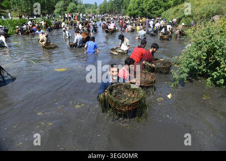 Kashmir, India. 17 maggio 2026. 17 maggio 2026, Anantnag, Jammu e Kashmir, India: Le persone si riuniscono presso le storiche sorgenti di Panzath per partecipare al tradizionale Festival del pesce, un evento della comunità secolare caratterizzato dalla pulizia primaverile dei corpi idrici e dalla cattura di pesci con cesti di vimini, nella zona di Qazigund nel distretto di Anantnag del Kashmir meridionale la domenica. Ogni anno nel mese di maggio, centinaia di abitanti del villaggio prendono un giorno libero per partecipare a un festival della pulizia e della pesca che dura da secoli. Crediti: ZUMA Press, Inc./Alamy Live News Foto Stock