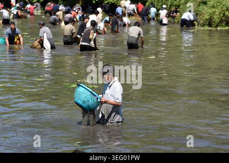 Kashmir, India. 17 maggio 2026. 17 maggio 2026, Anantnag, Jammu e Kashmir, India: Le persone si riuniscono presso le storiche sorgenti di Panzath per partecipare al tradizionale Festival del pesce, un evento della comunità secolare caratterizzato dalla pulizia primaverile dei corpi idrici e dalla cattura di pesci con cesti di vimini, nella zona di Qazigund nel distretto di Anantnag del Kashmir meridionale la domenica. Ogni anno nel mese di maggio, centinaia di abitanti del villaggio prendono un giorno libero per partecipare a un festival della pulizia e della pesca che dura da secoli. Crediti: ZUMA Press, Inc./Alamy Live News Foto Stock