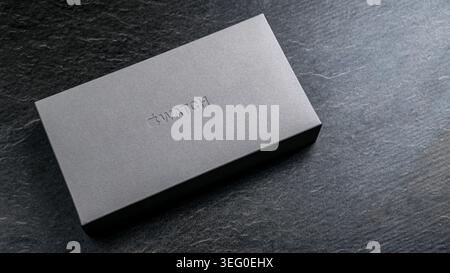 Jurmala, Lettonia 11.01.2025: Nuovo Apple Watch Ultra 2 Black Titanium. Design della confezione di uno Smart Watch visualizzato su una superficie in pietra scura con Foto Stock