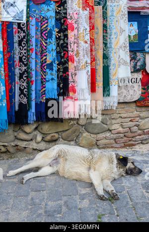 Cane di fronte ai tradizionali souvenir georgiani in vendita nella storica città vecchia di Sighnaghi, popolare destinazione turistica nella regione vinicola di Kakhe Foto Stock