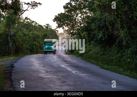 Un classico camion verde degli anni '1950 della International Harvester percorre una strada asfaltata attraverso la fitta vegetazione tropicale cubana. La scena cattura l'essenza Foto Stock