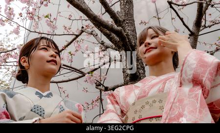 Due donne in kimono tradizionale si mettono sotto i rami sakura in fiore, scattate da un angolo basso contro un cielo nuvoloso, catturando la cultura primaverile, viaggiando, A. Foto Stock