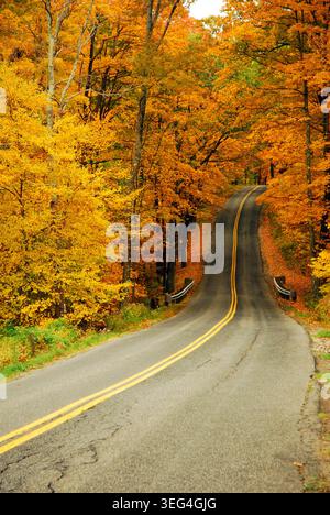 Una strada di campagna conduce un viaggio attraverso un brillante fogliame autunnale e foglie autunnali nel New England Foto Stock