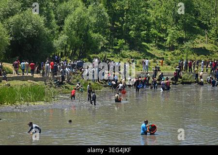 Qazigund, India. 17 maggio 2026. Gli abitanti del villaggio che partecipano all'antico Panzath Fish Festival usano i tradizionali cesti di vimini per pescare. L'evento annuale della comunità si raddoppia come uno sforzo vitale per la conservazione, dove i residenti ripuliscono il limo dalle sorgenti storiche per garantire acqua pulita per l'irrigazione prima della stagione di piantagione del riso. Il 17 maggio 2026 a Qazigund, nel Kashmir meridionale. (Foto di Danish Showkat/ Eyepix Group) credito: SIPA USA/Alamy Live News Foto Stock