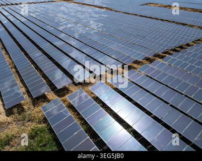 Vista dall'alto di una centrale solare su larga scala con lunghe file di pannelli in silicio cristallino per la produzione di energia rinnovabile e di elettricità. Foto Stock