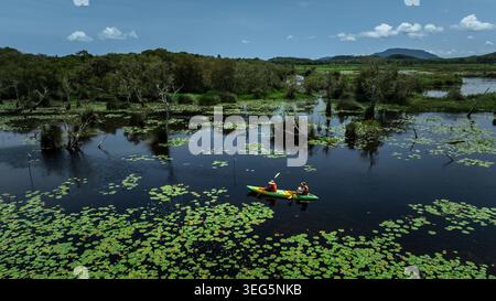 Due persone in kayak navigano attraverso un tranquillo lago coperto da ninfee in fiore e una lussureggiante vegetazione acquatica durante una soleggiata giornata estiva. Foto Stock