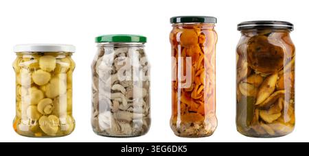 Funghi sottaceto assortiti in vasetti di vetro isolati su sfondo bianco. Diversi tipi di funghi conservati in salamoia, conserve fatte in casa, tradizionale Foto Stock