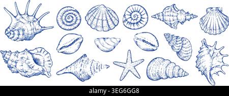 Set vintage Hand Drawn Seashells e Starfish Vector Sketch Illustrazione Vettoriale