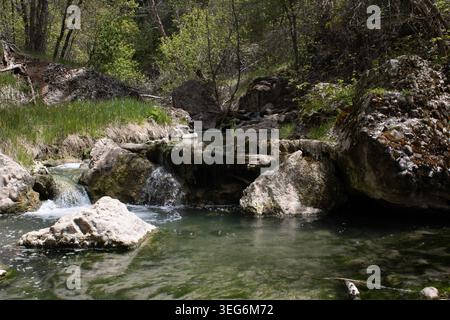 Piccole cascate attraverso il canale di Rocky Creek Foto Stock