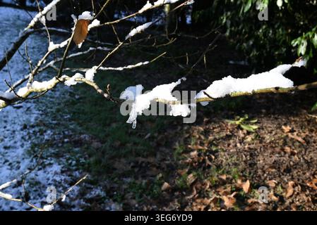 Chilly Scenes of Winter Foto Stock