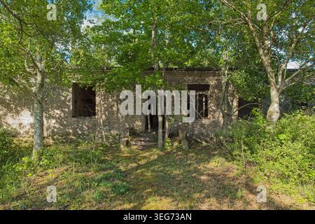 Edificio in rovina e abbandonato situato in un sito militare ex sovietico, ora sopraffatto dalla natura, Saaremaa, Estonia, Europa. Foto Stock