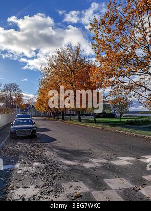 Una carreggiata autunnale. Un segnale stradale che indica "avvicinamento a una velocità ​​Bump". Una strada che si snoda lungo alberi adornati di colori autunnali e auto parcheggiate Foto Stock