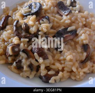 Risotto cremoso ai funghi appena cucinato - Risotto ai funghi porcini. In un piatto di ceramica blu e bianco. Dettaglio primo piano. Messa a fuoco selettiva. Foto Stock