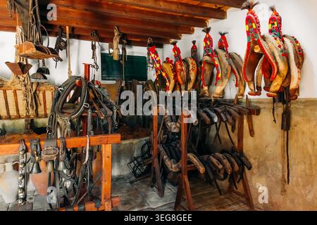 La tradizionale stalla, le selle, le funi e le imbracature sono esposte all'interno di una rustica stalla interna con travi in legno e attrezzature agricole storiche. Foto Stock
