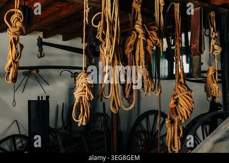 La tradizionale stalla, le selle, le funi e le imbracature sono esposte all'interno di una rustica stalla interna con travi in legno e attrezzature agricole storiche. Foto Stock