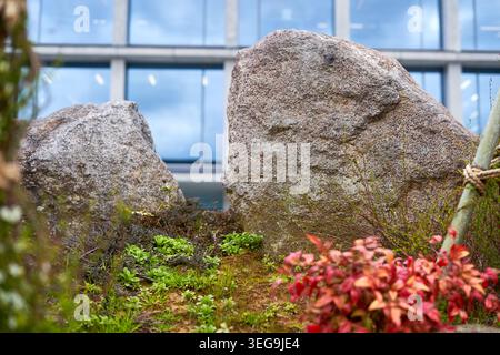 Una vista ravvicinata di due grandi massi di granito grigio circondati da una vegetazione lussureggiante in un contesto di giardino paesaggistico. Varie piante tra cui verde Foto Stock