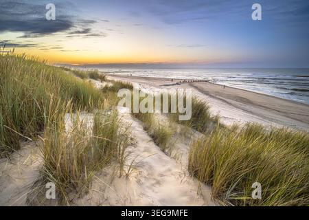 Tramonta sulle dune di sabbia ricoperte di erba marmastra a Vlieland, Paesi Bassi, con la spiaggia del Mare del Nord che si estende fino all'orizzonte. Cielo d'oro a ovest Foto Stock