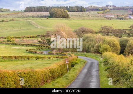 Tranquillo vicolo di campagna con tortuose curve che attraversano siepi, pascoli e paesaggi di allevamento sotto la luce soffusa dell'ora dorata nella campagna Britai Foto Stock
