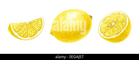 Illustrazione ad acquerello limone clipart isolata su sfondo bianco. Elemento intero, tagliato a fette e mezzo agrumi verniciato a mano per il confezionamento di alimenti Foto Stock