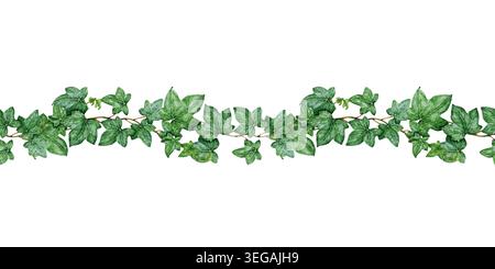 Edera scogliera di confine senza cuciture con foglie verdi d'arrampicata e viti botaniche. Elemento per illustrazione floreale ad acquerello disegnato a mano isolato per il matrimonio Foto Stock