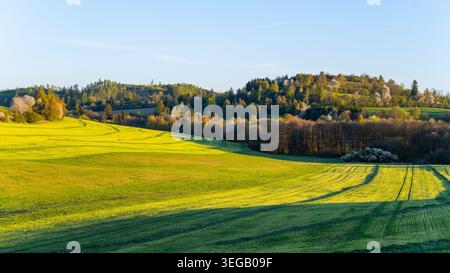 Grandi campi verdi si estendono attraverso il paesaggio della Moravia in primavera. Gli alberi delineano l'orizzonte e la luce del sole proietta ombre sul terreno. La scena mostra un'area naturale tranquilla. Foto Stock
