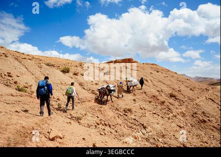 Un gruppo di escursionisti e di animali impacchettati si arrampicano su un pendio roccioso e bruno rossastro in un arido paesaggio desertico sotto un cielo soleggiato. Foto Stock