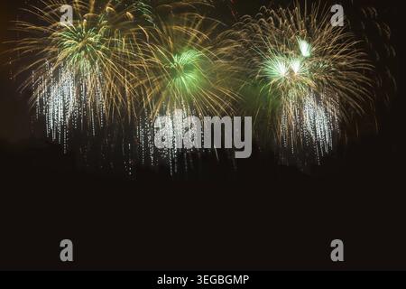 Fuochi d'artificio dorati e verdi sul cielo notturno. Festeggiano i fuochi d'artificio Saluto natalizio di vari colori sul cielo notturno. 4 luglio. 4 luglio. IND Foto Stock