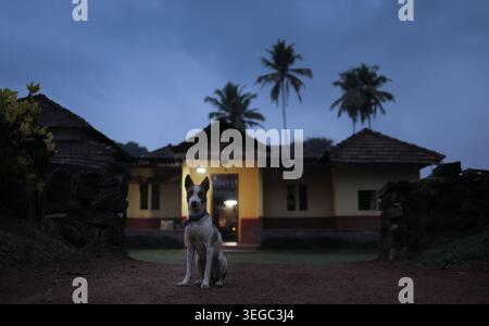Cane da villaggio di fronte a una tradizionale casa sul tetto piastrellata in India Foto Stock
