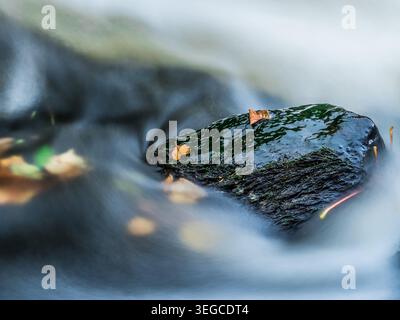 Foglie autunnali che riposano su una roccia umida e muscolosa circondata da un'acqua fluviale liscia e liscia Foto Stock