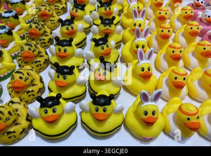 Selezione di anatre di plastica giocattolo sullo scaffale del negozio Foto Stock