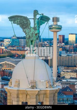 L'iconico Liver Bird in cima al Royal Liver Building che si affaccia sul lungomare di Liverpool alla luce del giorno, Merseyside, Inghilterra. Foto Stock